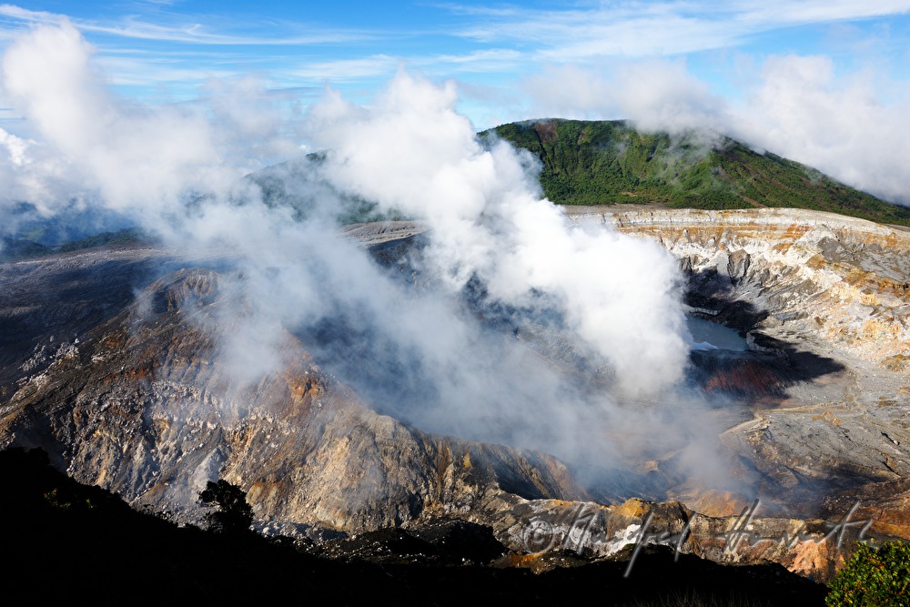 crater of Volcano Poás and a Gunnera insignis (sun umbrella of the poor man)