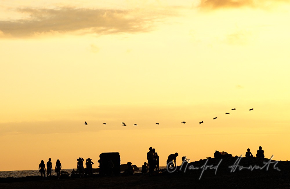 beach visitors on sunset and wild geese