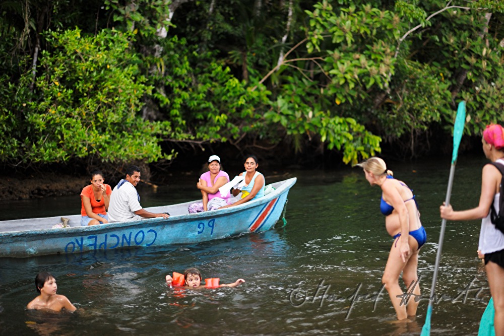 tourists making an excursion in the mangroves
