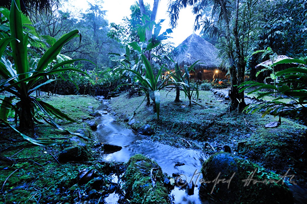 the Esquina Rainforest Lodge