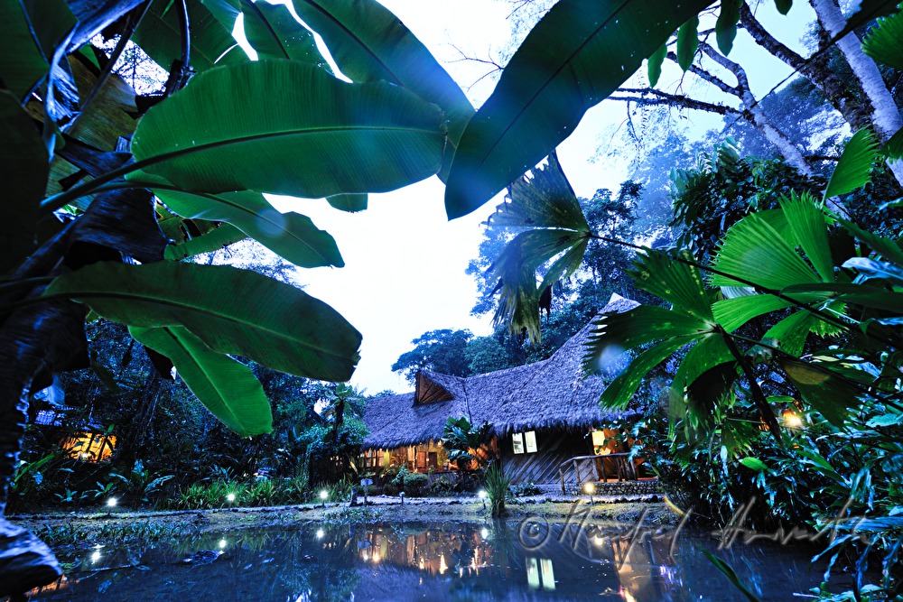 the Esquina Rainforest Lodge