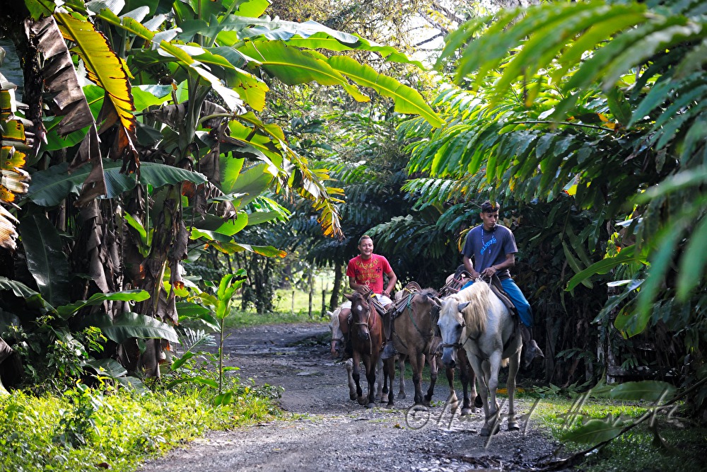 riders at the entrance to the rainforest