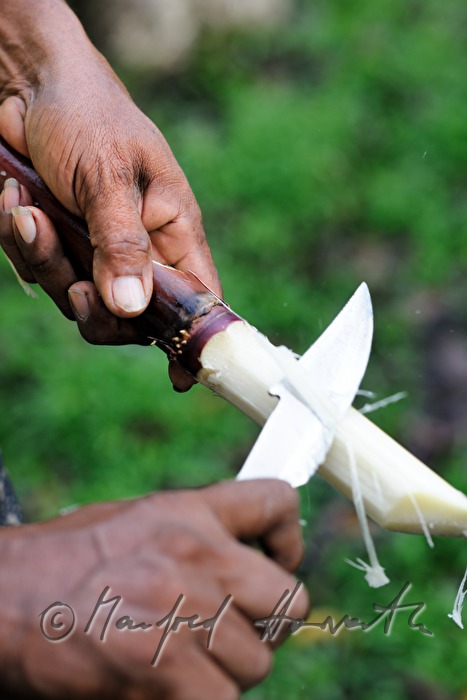 peeling of sugar cane