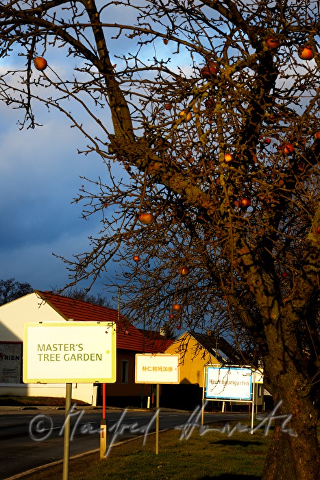 place-name sign in English and Chinese