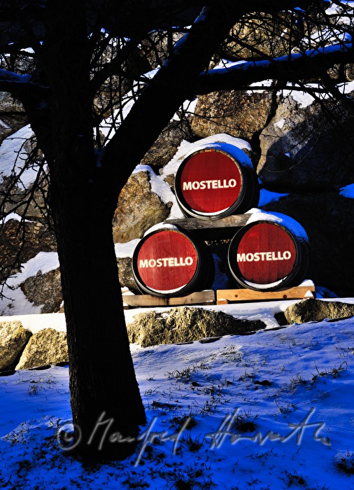Mostello barrels in front of the Mostelleria