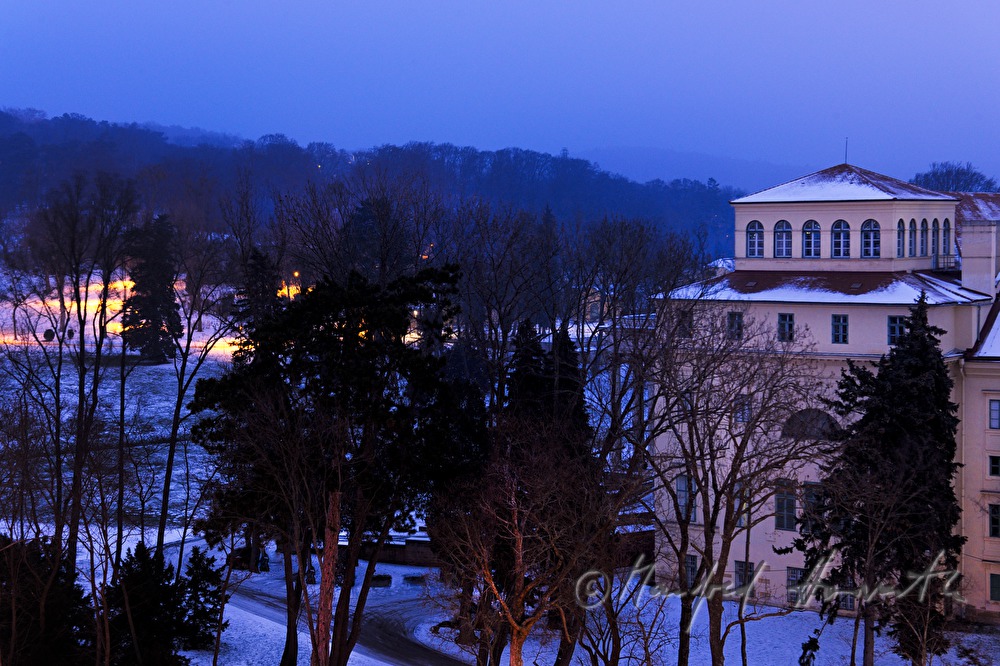 view with park in front of the castle