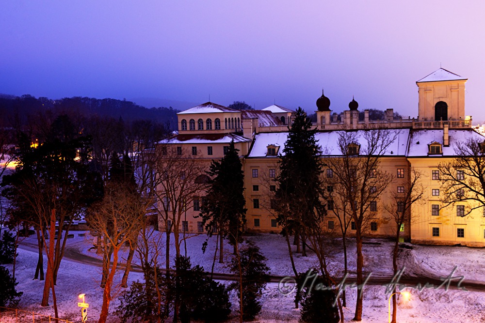 view with park in front of the castle