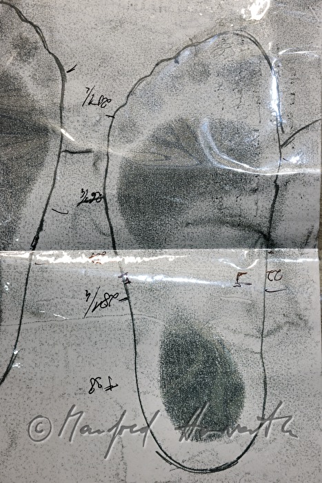 footprint for the last when making customer shoes