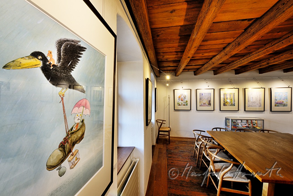 Erwin Moser Museum in the wine store building