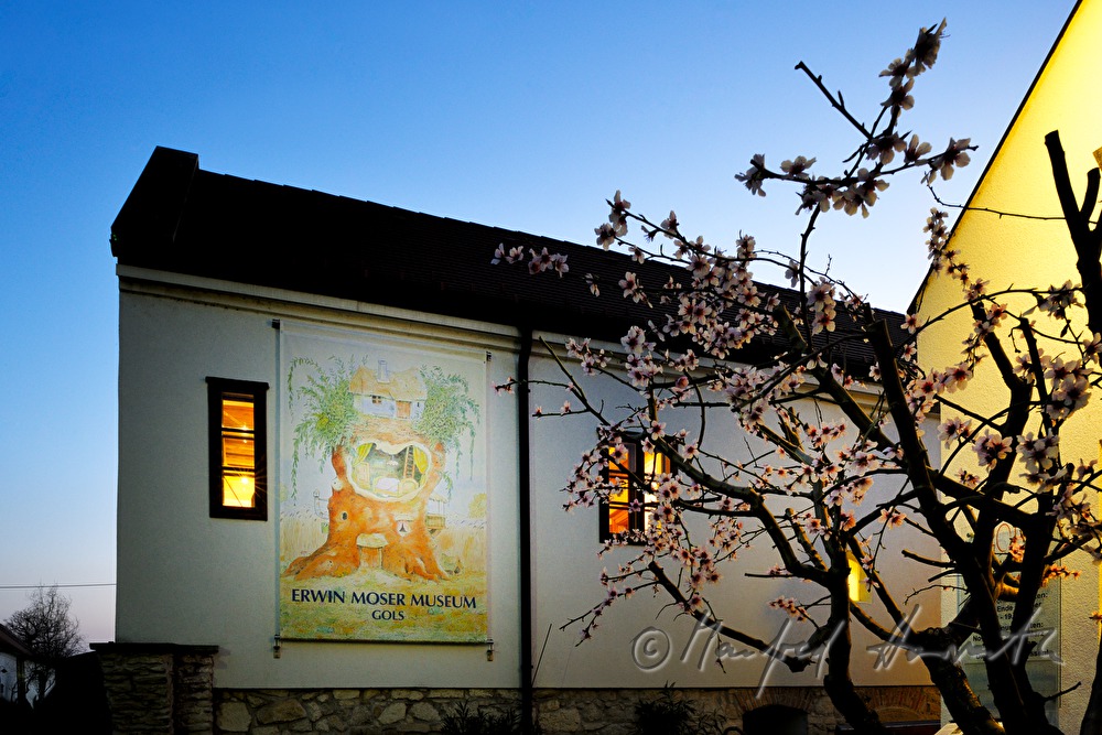Erwin Moser Museum in the wine store building