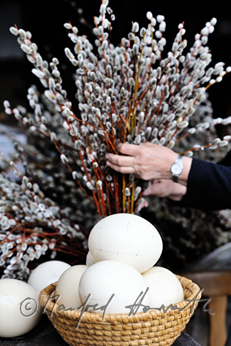 ostrich eggs and willow tree branches