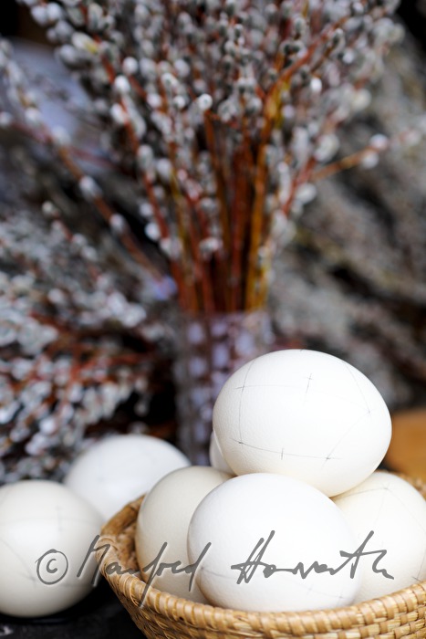 ostrich eggs and willow tree branches