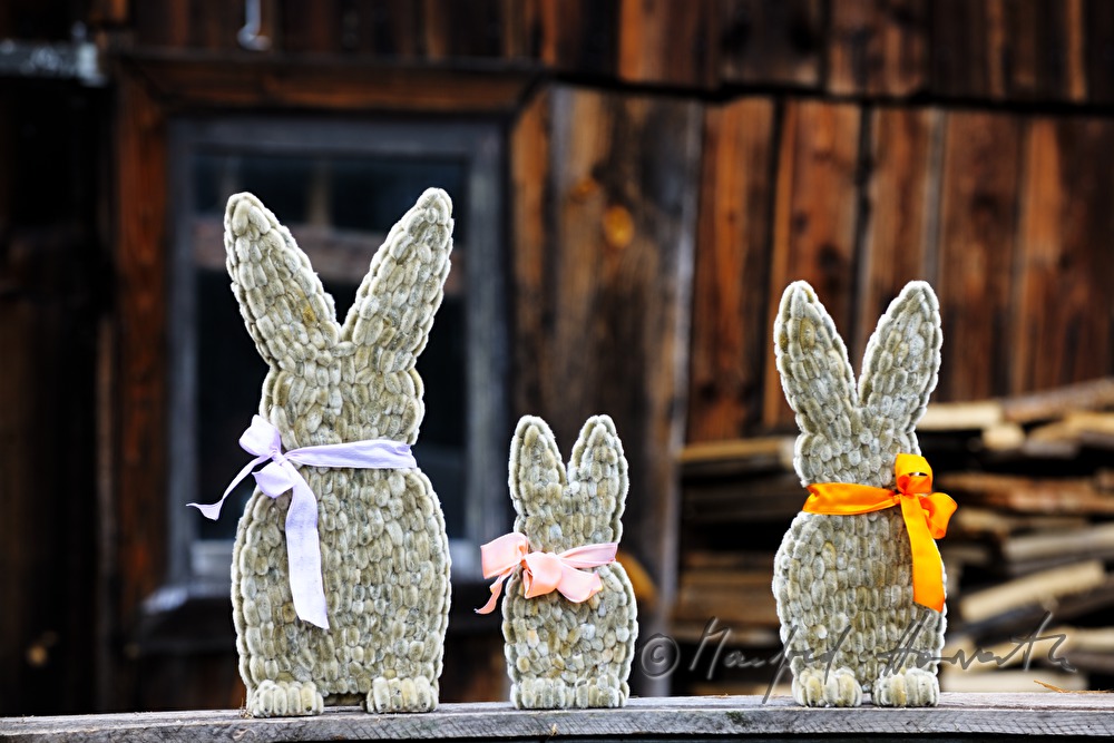 Easter bunnies made of catkins