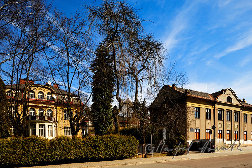 yarn button factory Slesinger and villa with garden