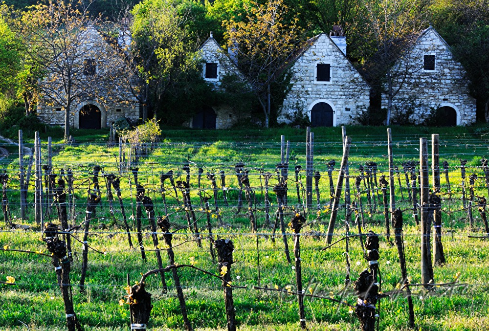 wine cellars near Bärenhöhle