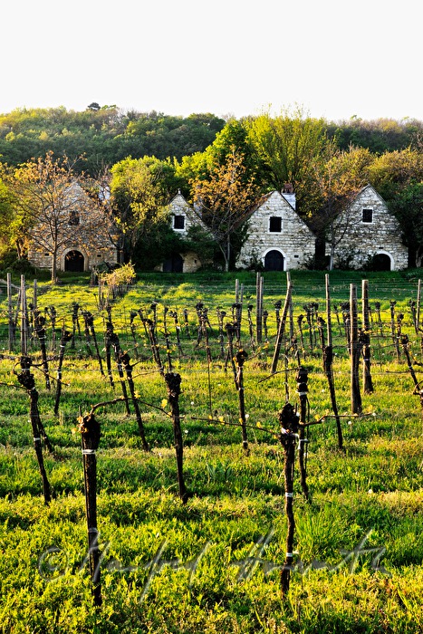 wine cellars near Bärenhöhle