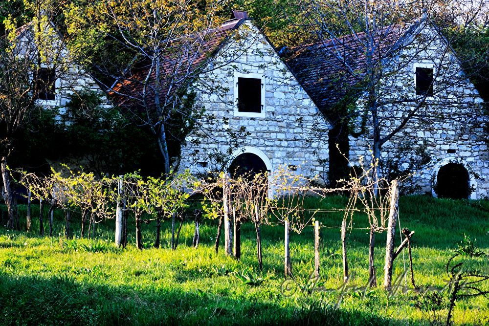 wine cellars near Bärenhöhle