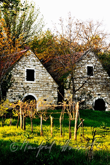 wine cellars near Bärenhöhle