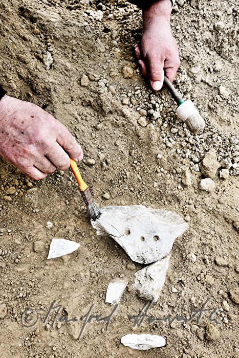 private archeologist seeks for mammoth bones