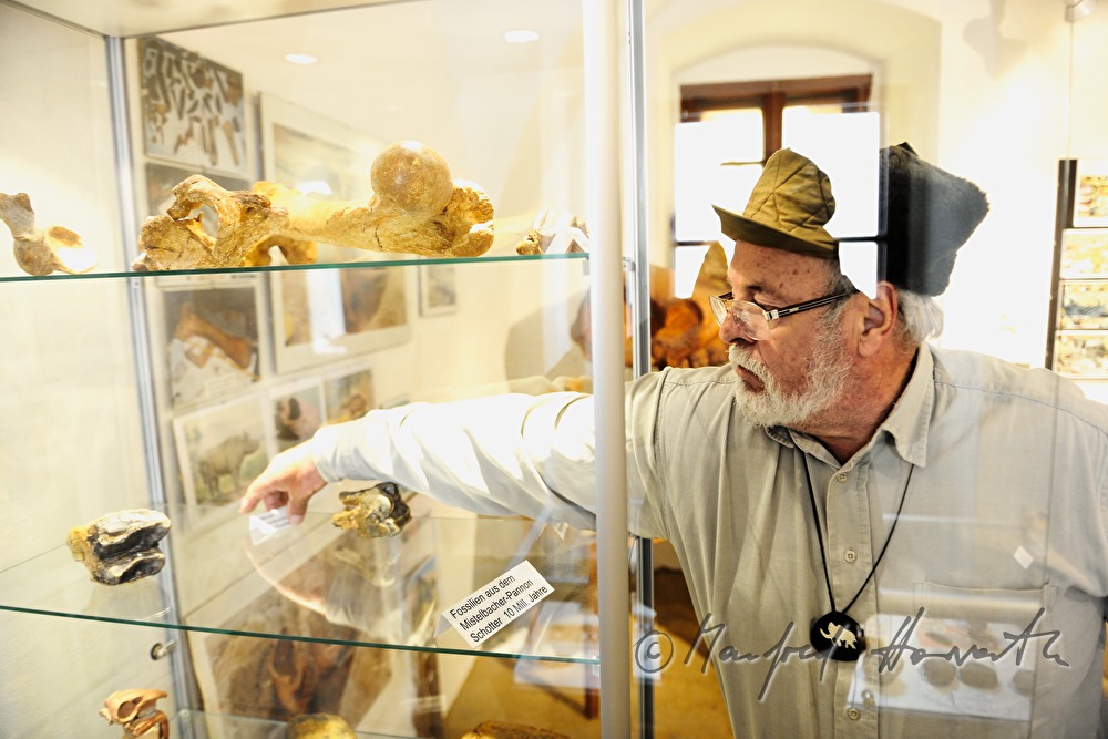 display on archeology and paleontology in Castle Dürnkrut