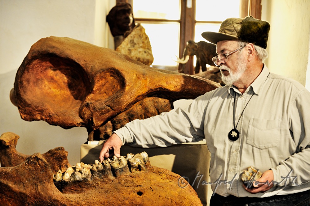 display on archeology and paleontology in Castle Dürnkrut