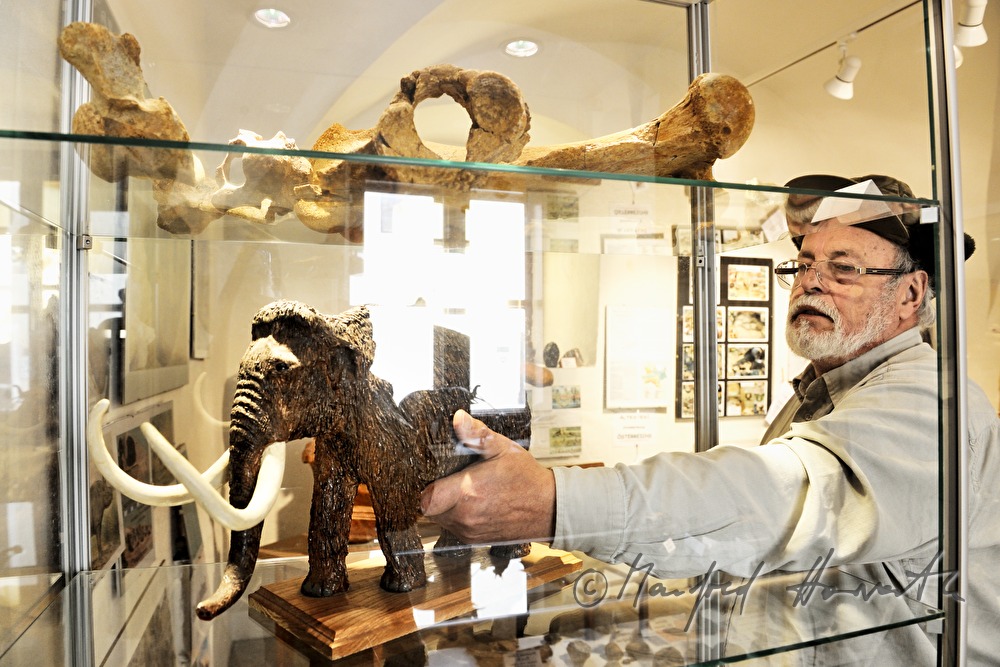 display on archeology and paleontology in Castle Dürnkrut