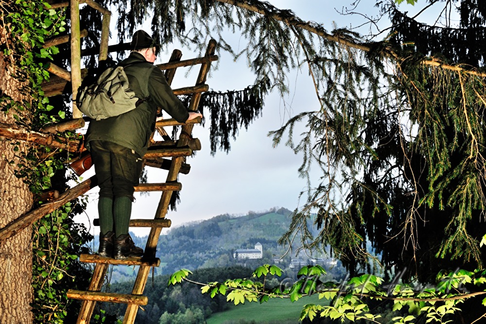 gamekeeper enters the deer stand