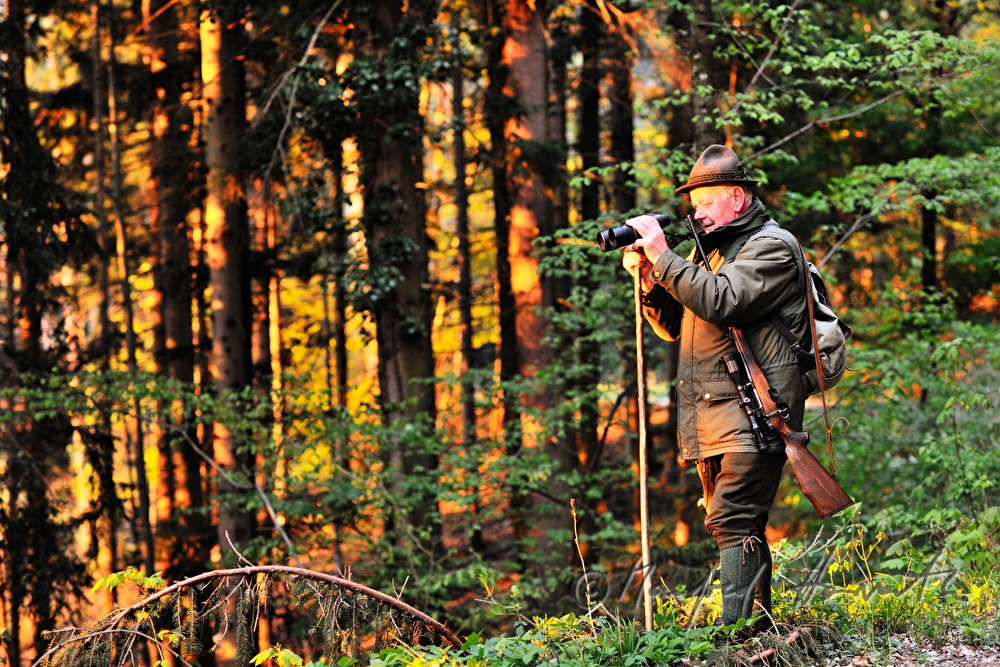 gamekeeper monitoring game in the morning