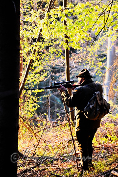 gamekeeper on ta forest glade shoots