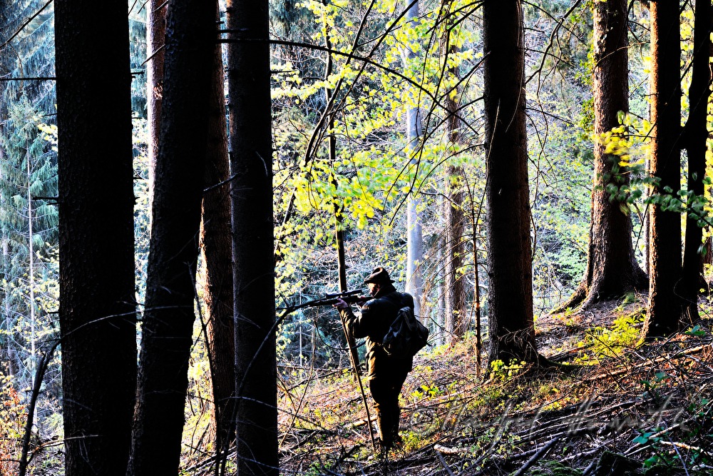 gamekeeper on ta forest glade shoots