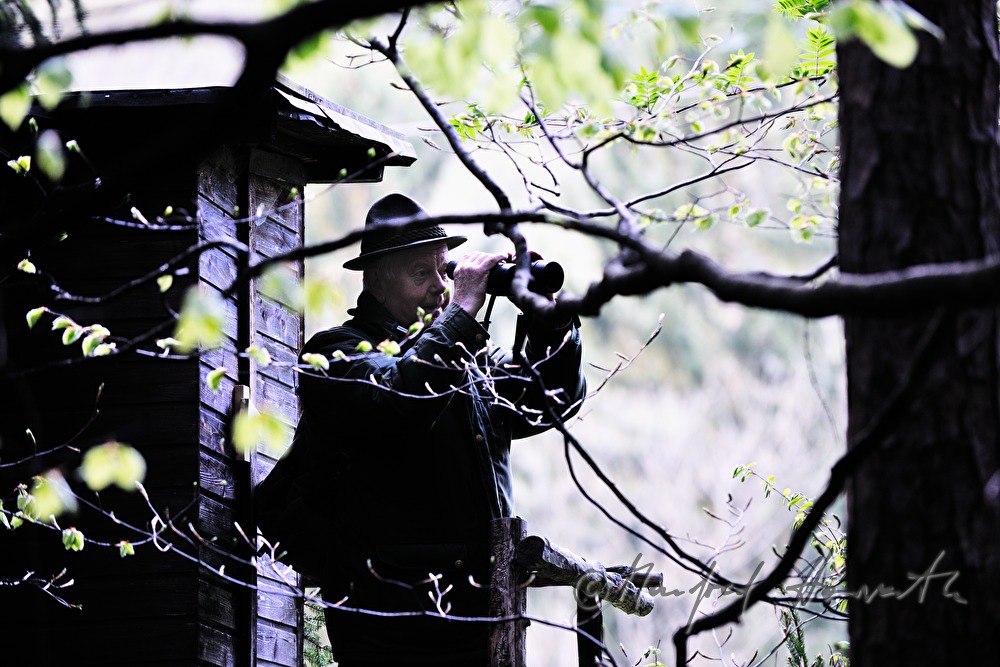 gamekeeper on the deer stand watching the scenery