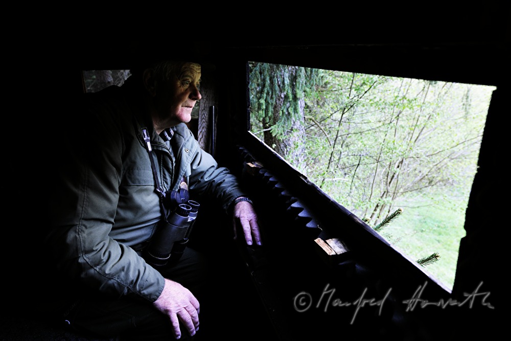 gamekeeper on the deer stand watching the scenery
