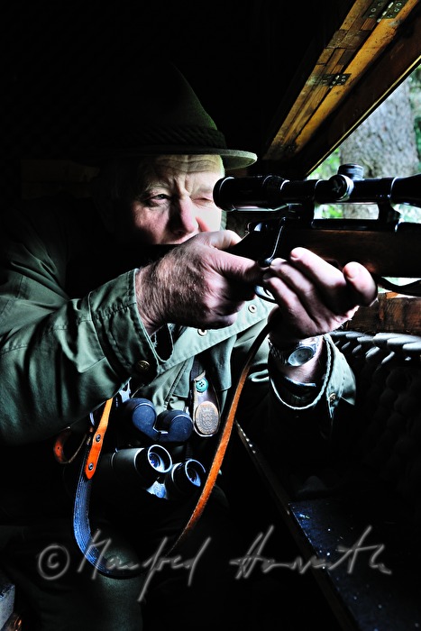 gamekeeper on the deer stand shoots