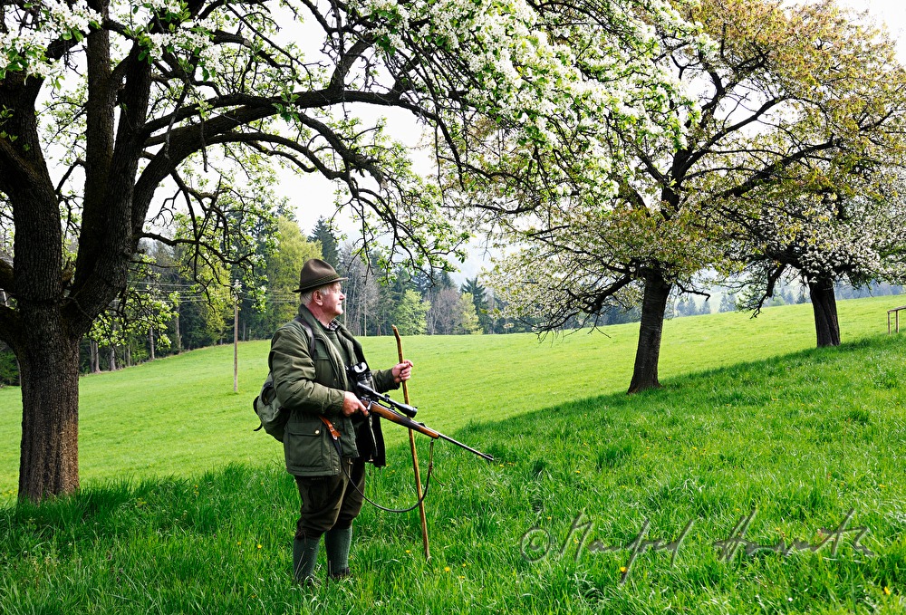 gamekeeper monitoring game in an orchard