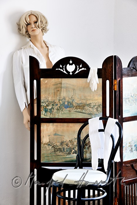 screen with an ornament of the old Paris