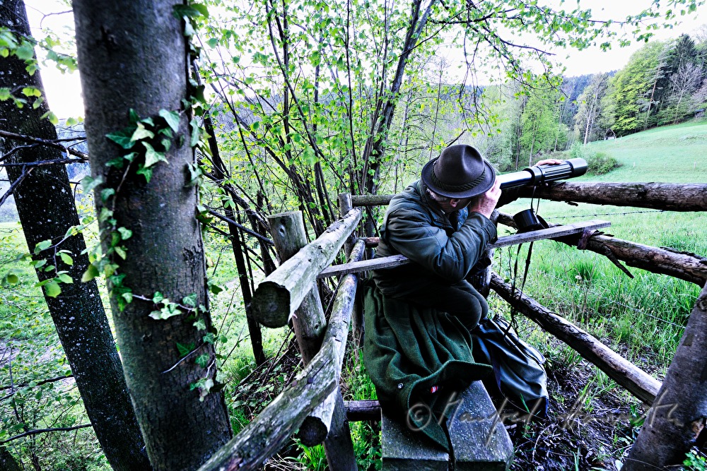 gamekeeper on the deer stand watching the scenery