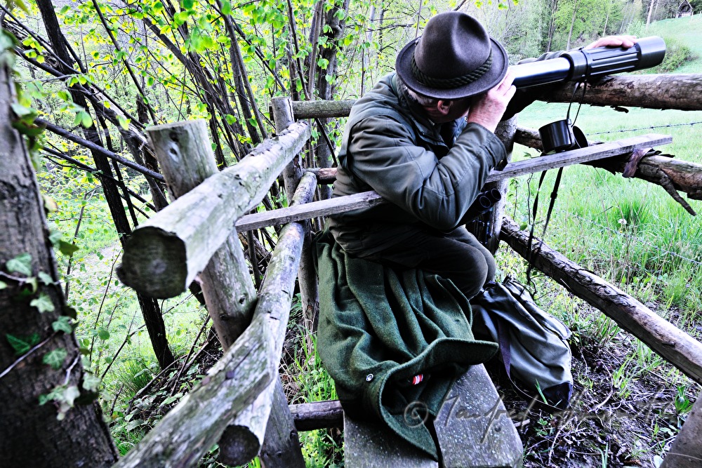 gamekeeper on the deer stand watching the scenery