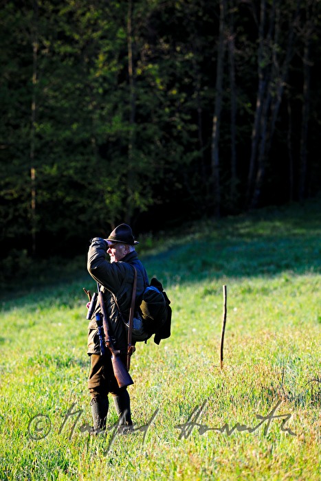 gamekeeper in the morning walking to the deer stand
