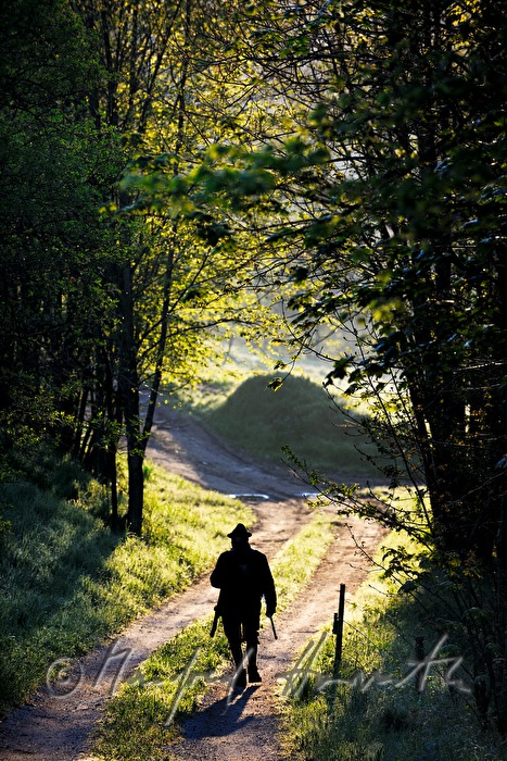 gamekeeper in the morning walking to the deer stand