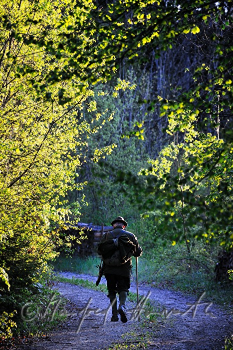 gamekeeper in the morning walking to the deer stand