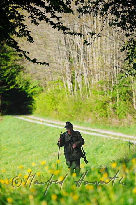 gamekeeper in the morning walking to the deer stand