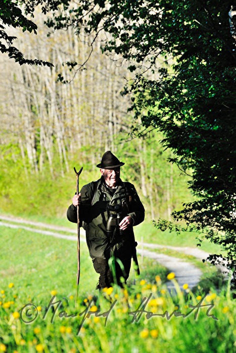 gamekeeper in the morning walking to the deer stand