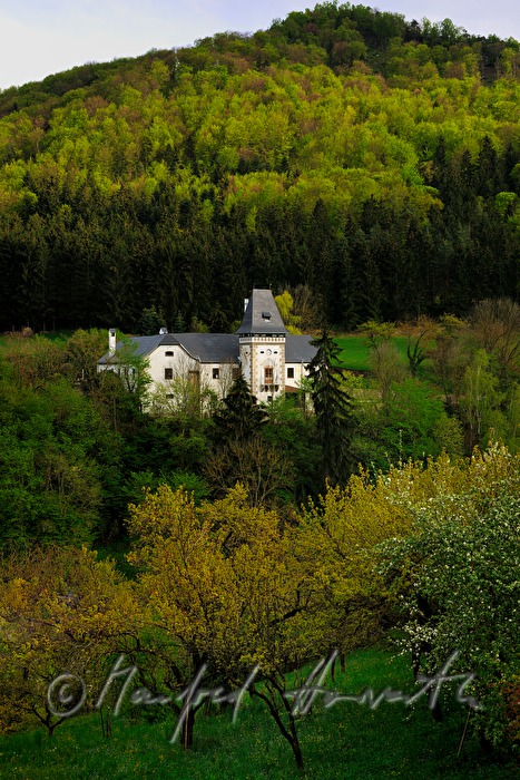 view from the West with tower