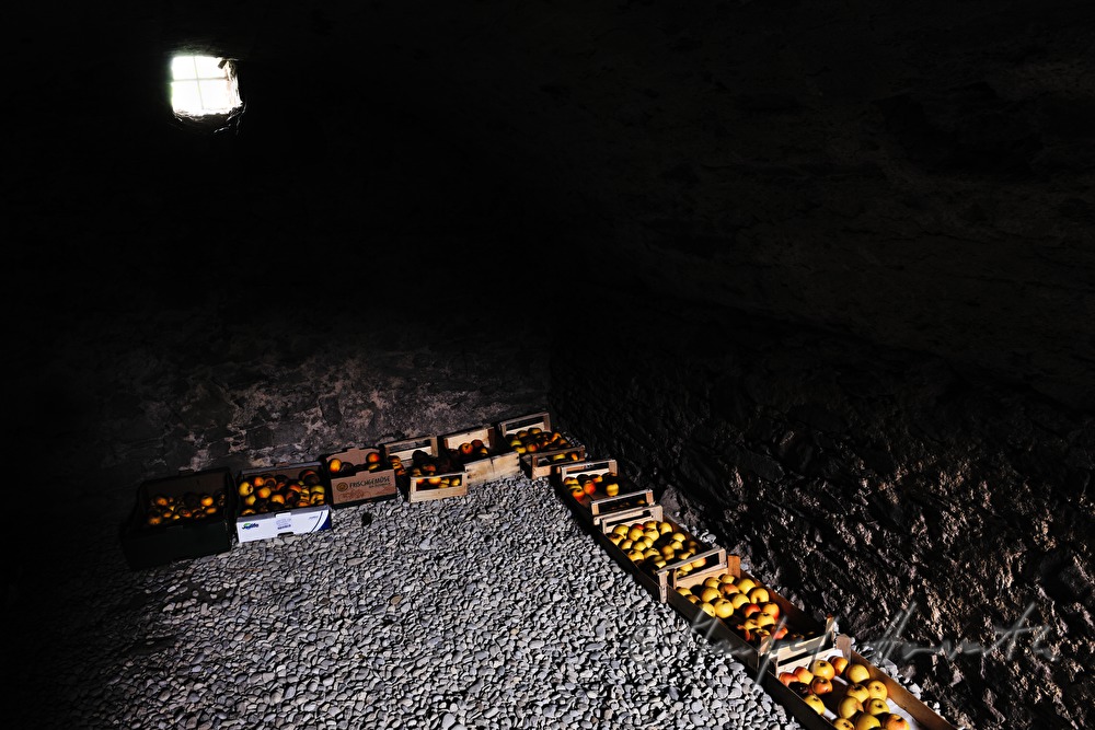 apples stored in the cellar in card boxes