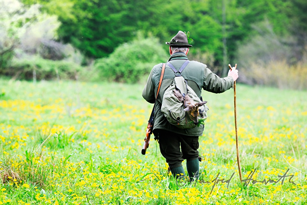 gamekeeper with newly hunted deer in the knapsack