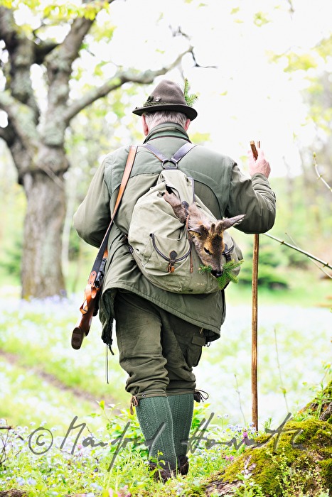 gamekeeper with newly hunted deer in the knapsack