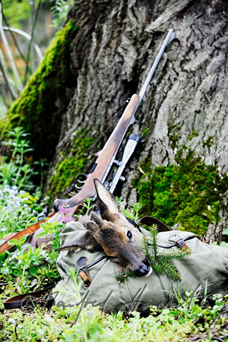 newly hunted deer in the knapsack of the hunter