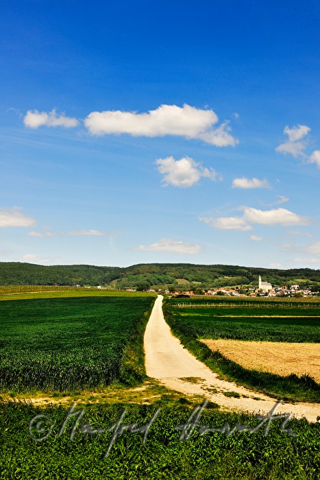 view from the South to the Leithagebirge