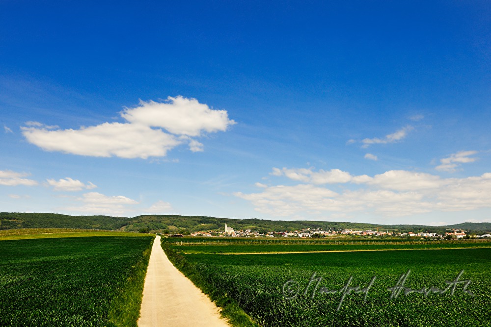 view from the South to the Leithagebirge