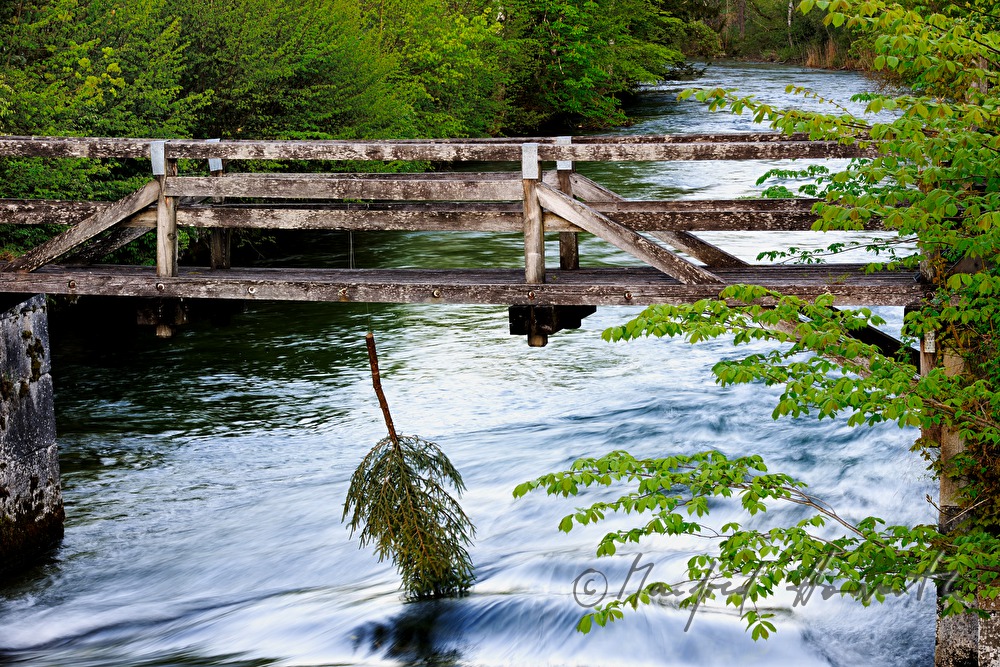 christmas tree hanging from a foot bridge into a river